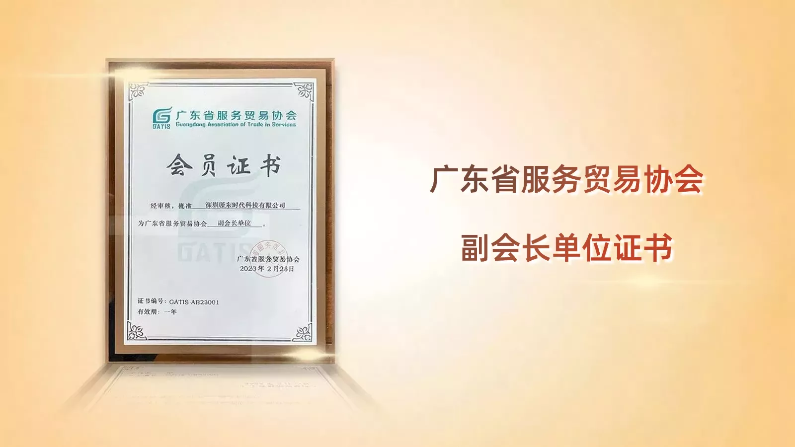 广东省服务贸易服务协会副会长单位证书