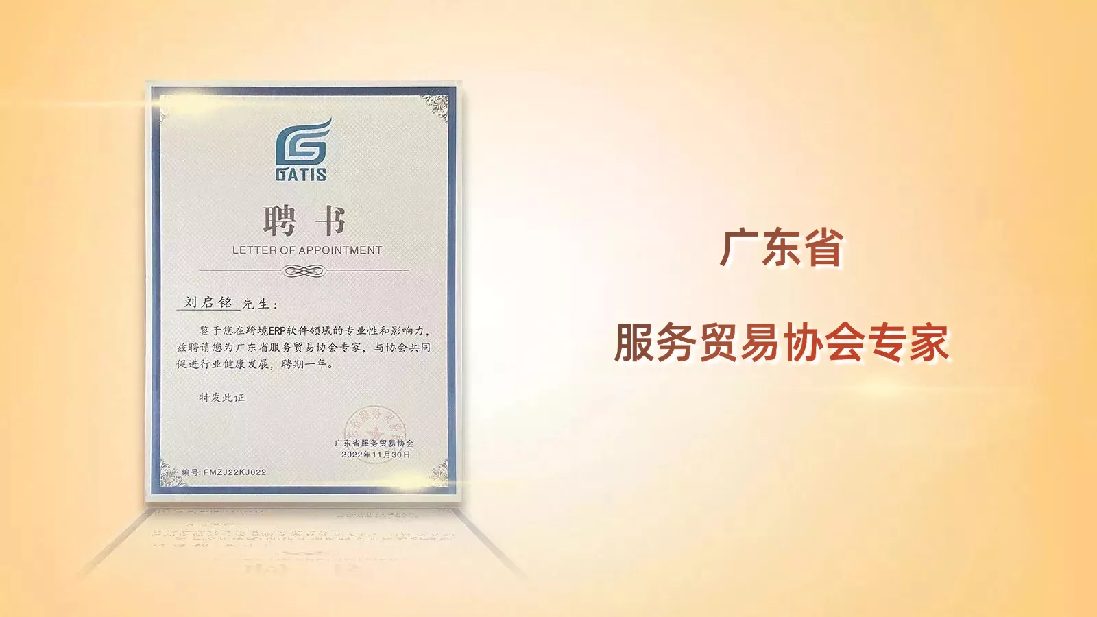 广东省服务贸易协会专家